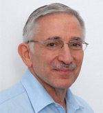 Professor Shaul Hochstein